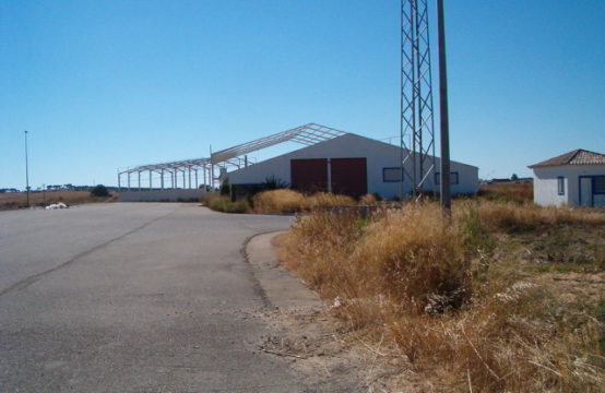 Oportunidade de Investimento Portugal (Terminal Rodo-Ferroviário do Carregueiro)